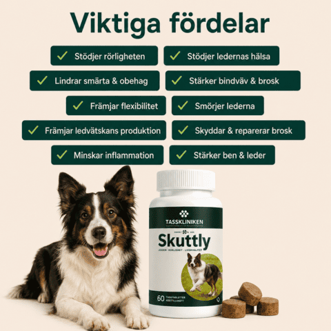 För hundar som blivit 'svagare' med åldern - Skuttly