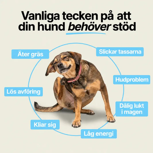 Probiotika med Papaya-pumpa-systemet™