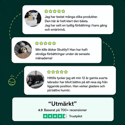 För hundar som blivit 'svagare' med åldern - Skuttly