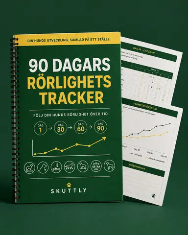 90 DAGARS RÖRLIGHETSTRACKER - DIGITAL