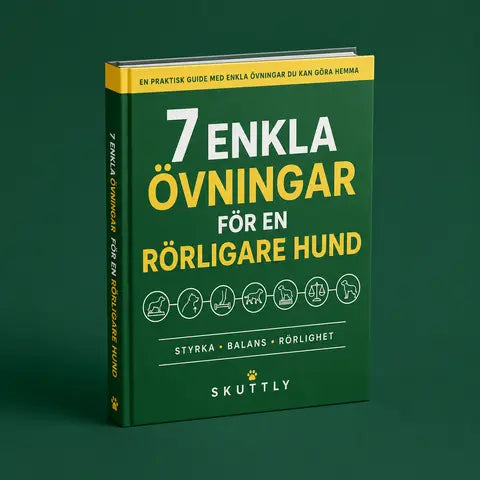 7 ENKLA ÖVNINGAR FÖR EN RÖRLIGARE HUND - DIGITAL