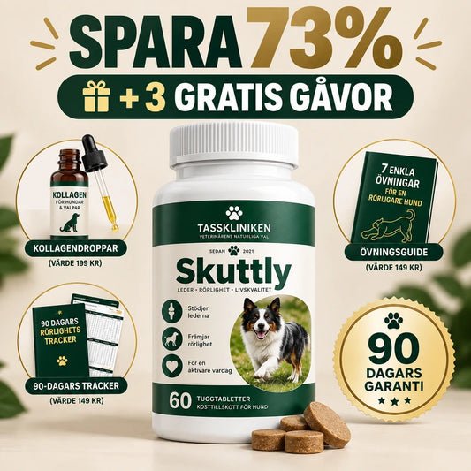 För hundar som blivit 'svagare' med åldern - Skuttly