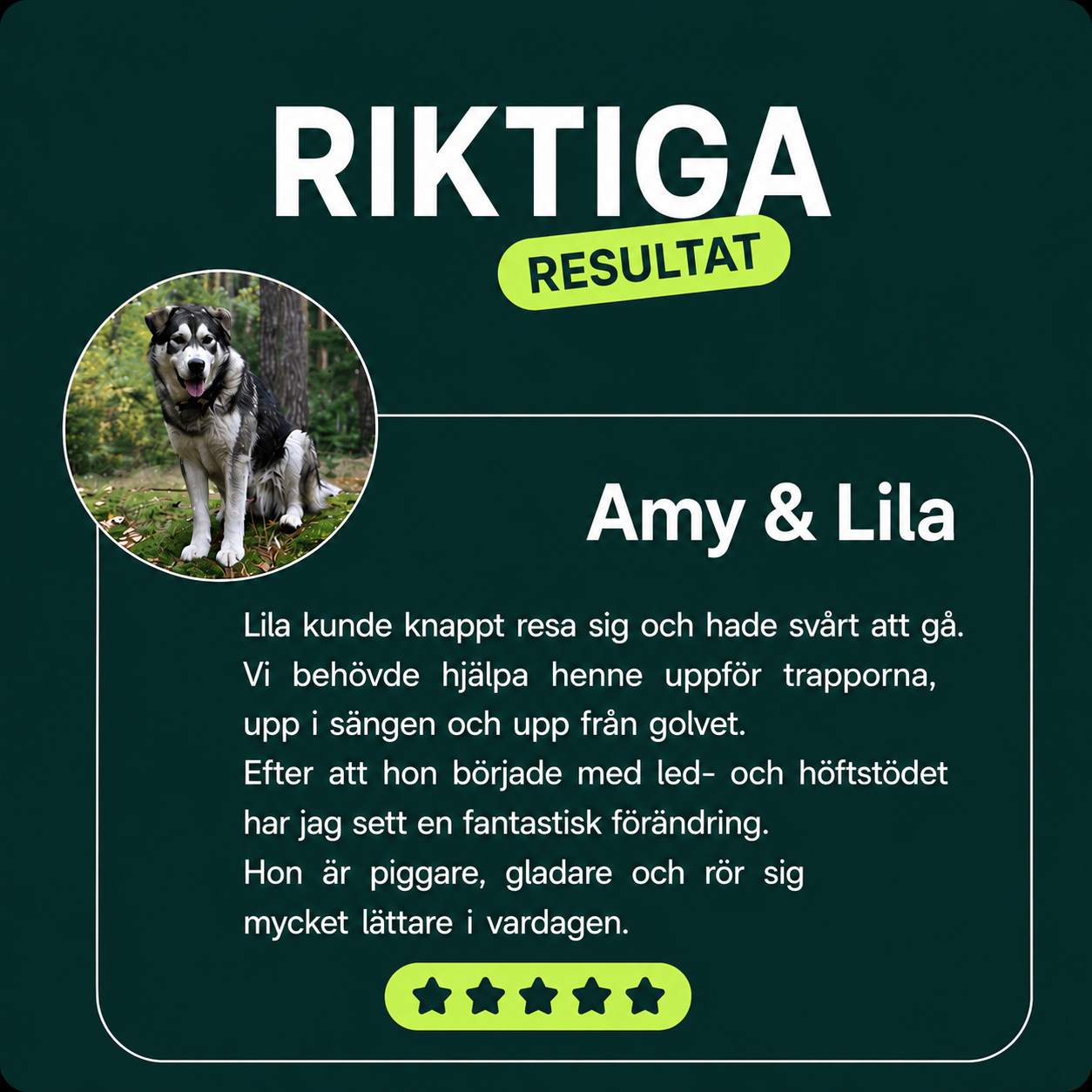 BEKÄMPA HÖFT & LEDSMÄRTA – ÅTERSTÄLL RÖRLIGHET & KOMFORT!