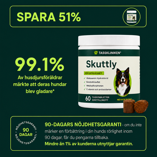 BEKÄMPA HÖFT & LEDSMÄRTA – ÅTERSTÄLL RÖRLIGHET & KOMFORT!