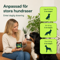 BEKÄMPA HÖFT & LEDSMÄRTA – ÅTERSTÄLL RÖRLIGHET & KOMFORT!