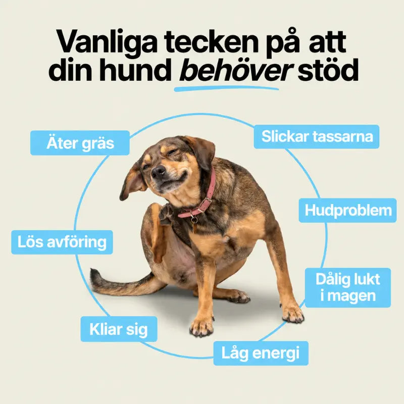 Probiotika med Papaya-pumpa-systemet™
